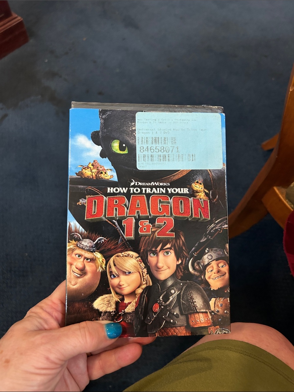 DreamWorks How to Train Your Dragon 1 & 2 - Blue and Black Cover